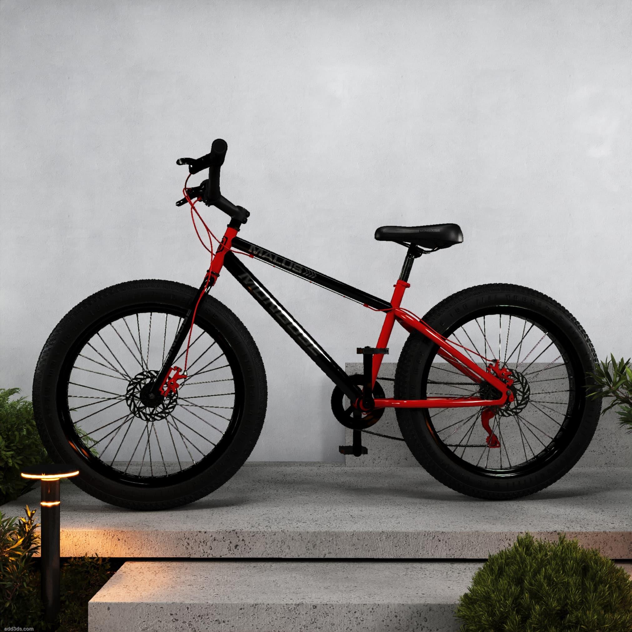 mountain bike